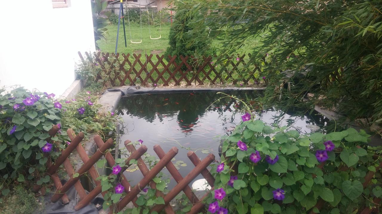Rákóczi Vendégház Poroszló Kültér fotó